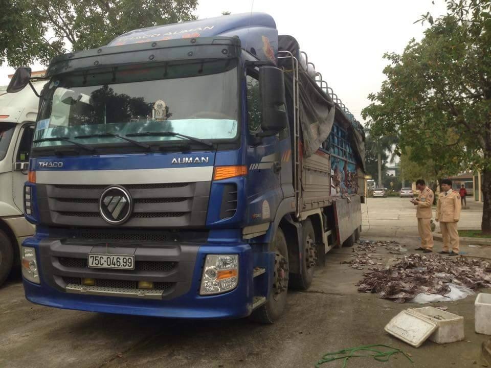 Chan hon 20 tan muc thoi tren duong ra Ha Noi hinh anh