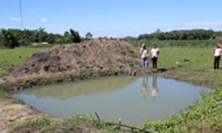 Co gai mat tich nghi bi cuop giet hinh anh