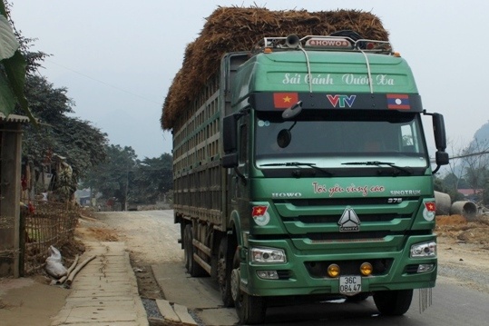 Chanh thanh tra So Giao thong Thanh Hoa bi dinh chi hinh anh