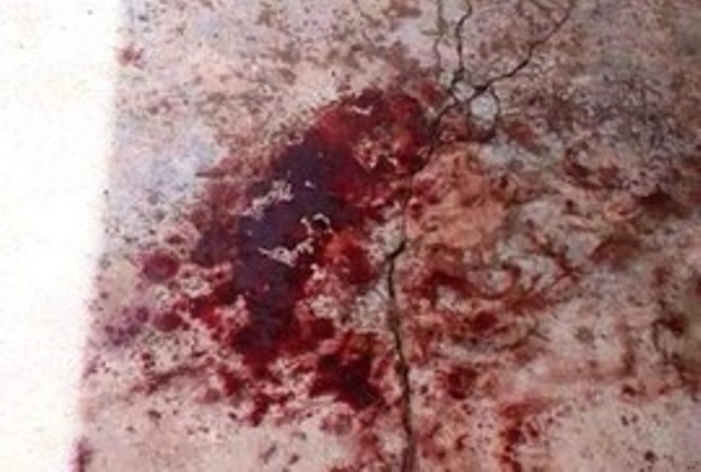 Doi no dau nam, chu no duoc 'li xi' hinh anh