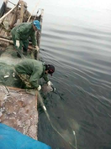 Vot vang trang o Thanh Hoa anh 1