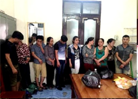 sới bạc trong rừng ảnh 1 soi bac trong rung anh 1