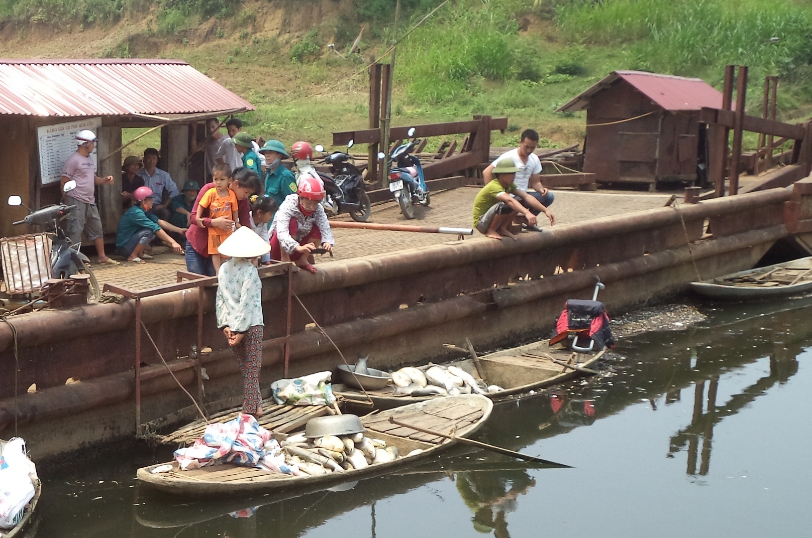 ca chet o song Buoi anh 6