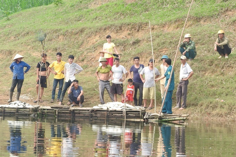 ca chet o song Buoi anh 7