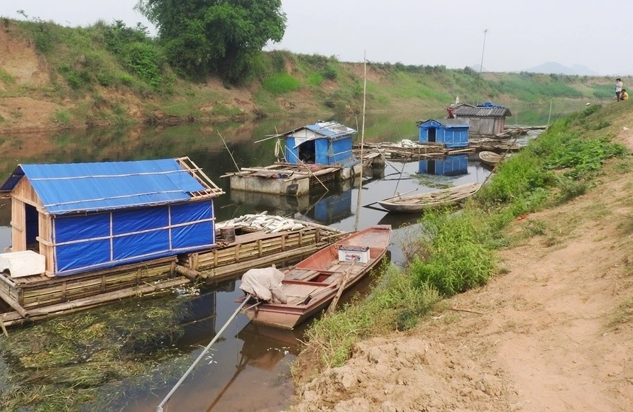 ca chet o song Buoi anh 1