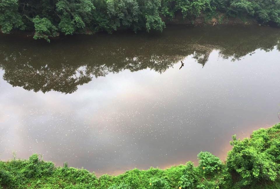 vu ca chet tren song Buoi anh 2