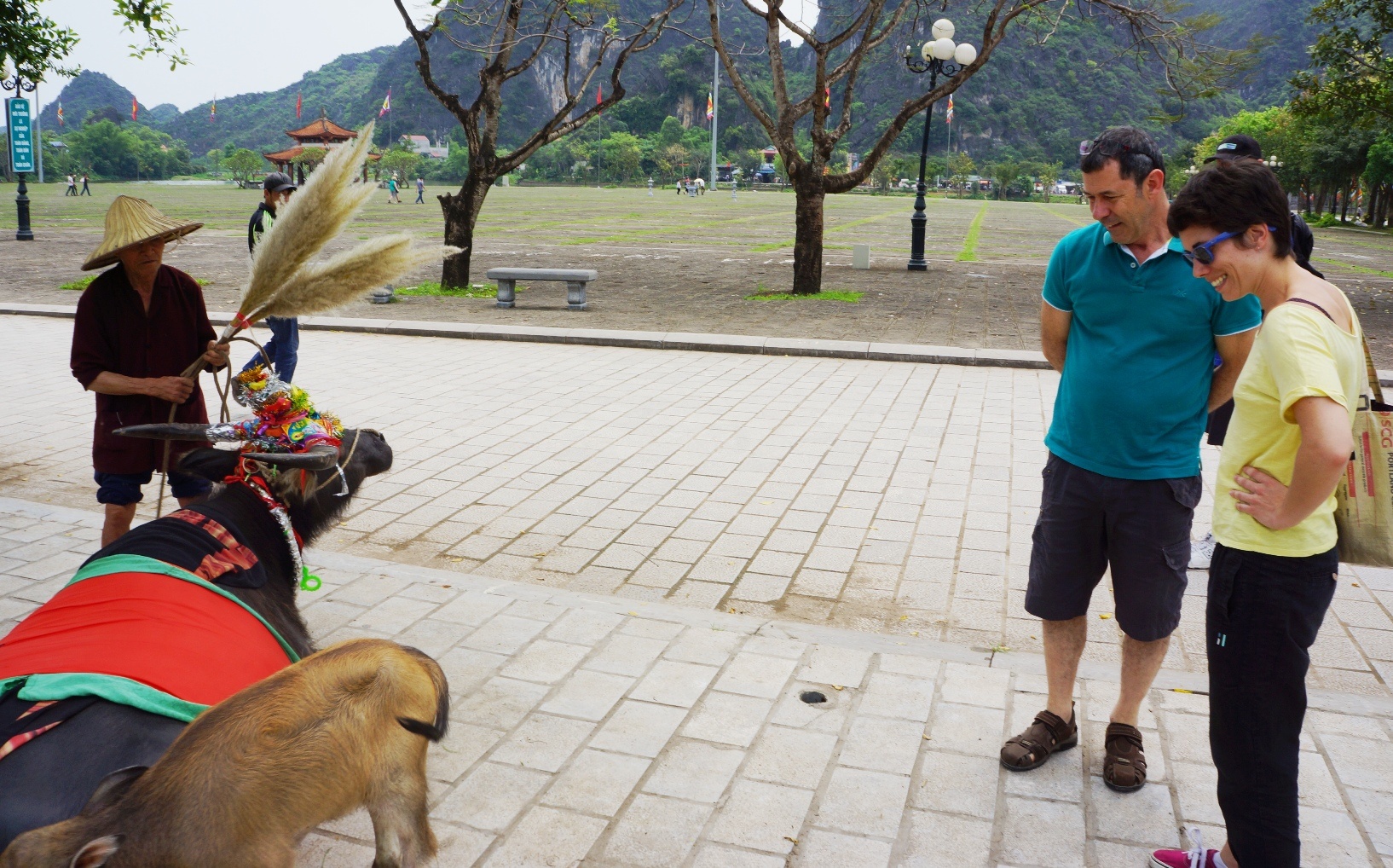 cho thue trau chup anh anh 2