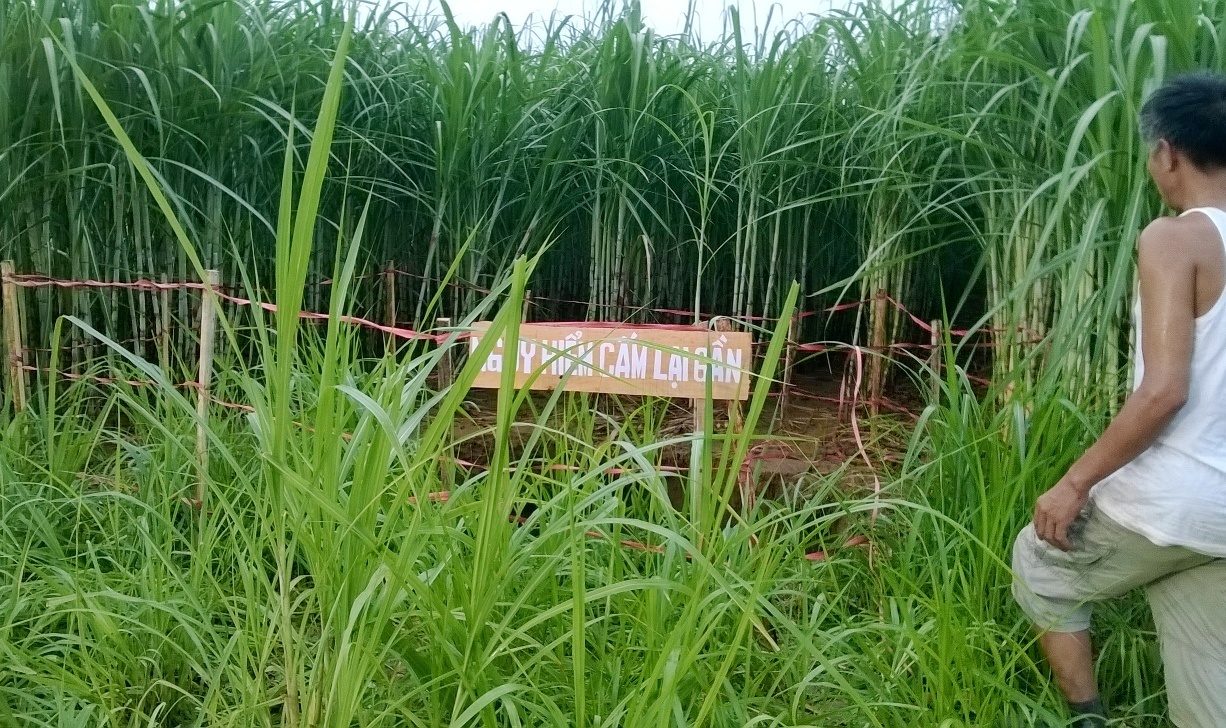 ho tu than o Thanh Hoa anh 2