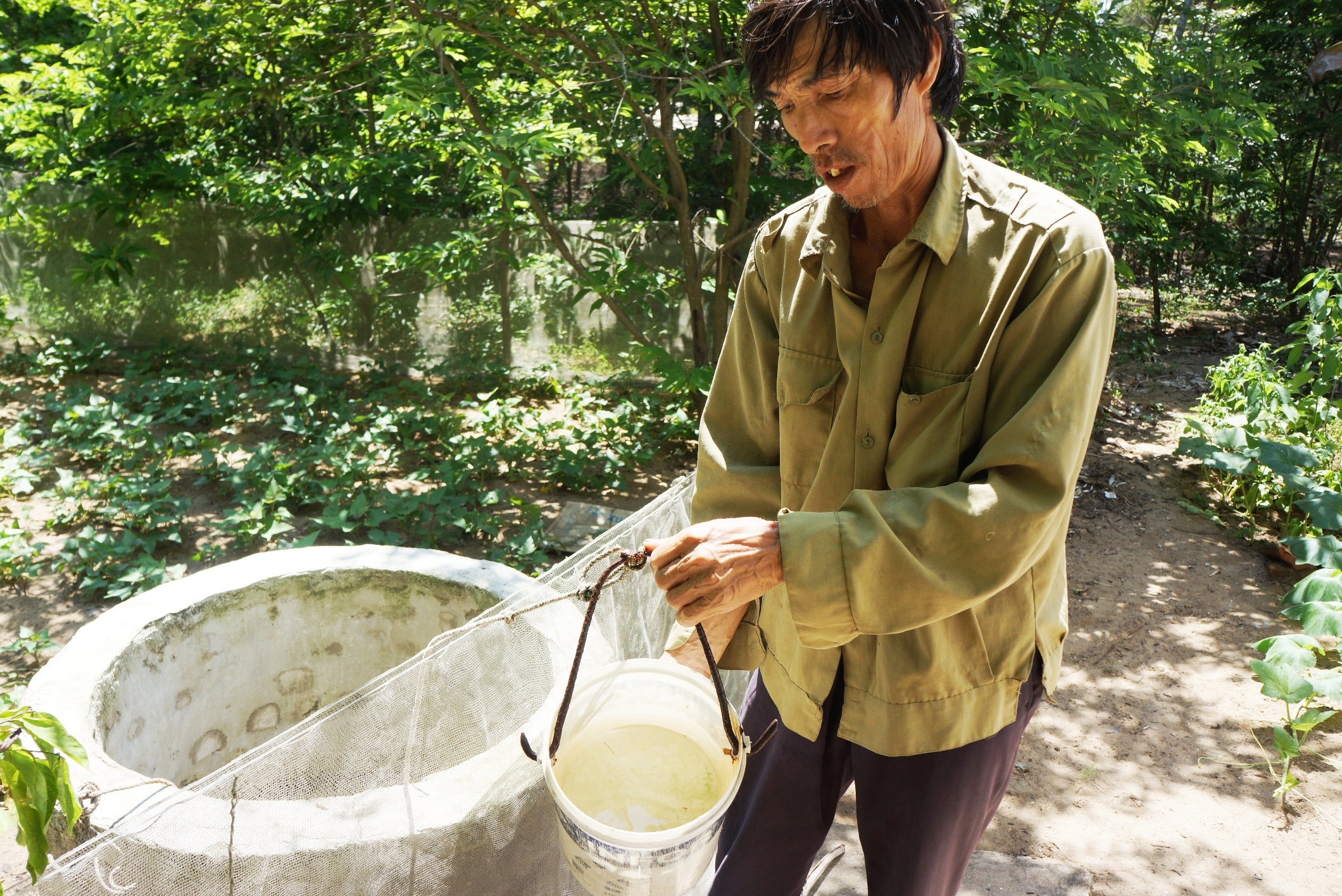 Dan khon kho vi nuoc ngam tro nen man chat hinh anh