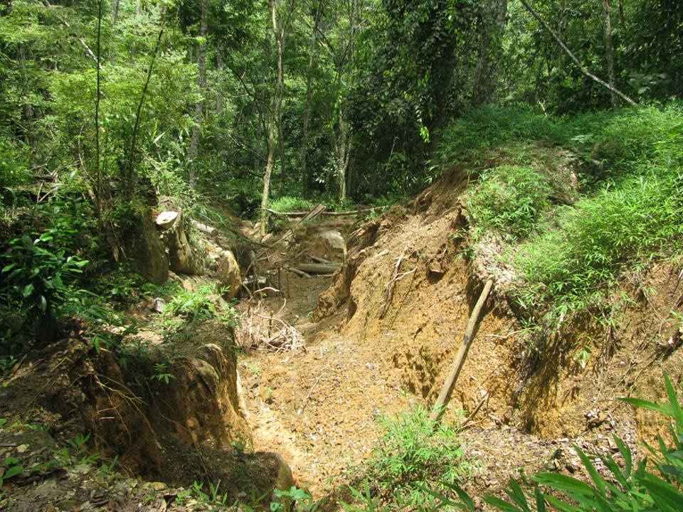 phu vàng ngạt khí độc ảnh 1 phu vang ngat khi doc anh 1