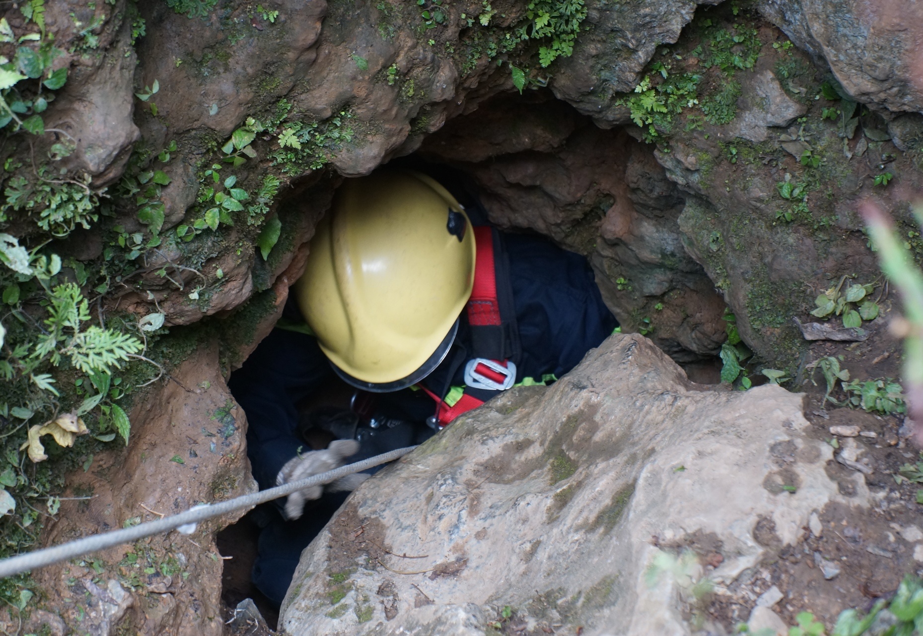 2 thi the phu vang duoc dua ra khoi hang hinh anh