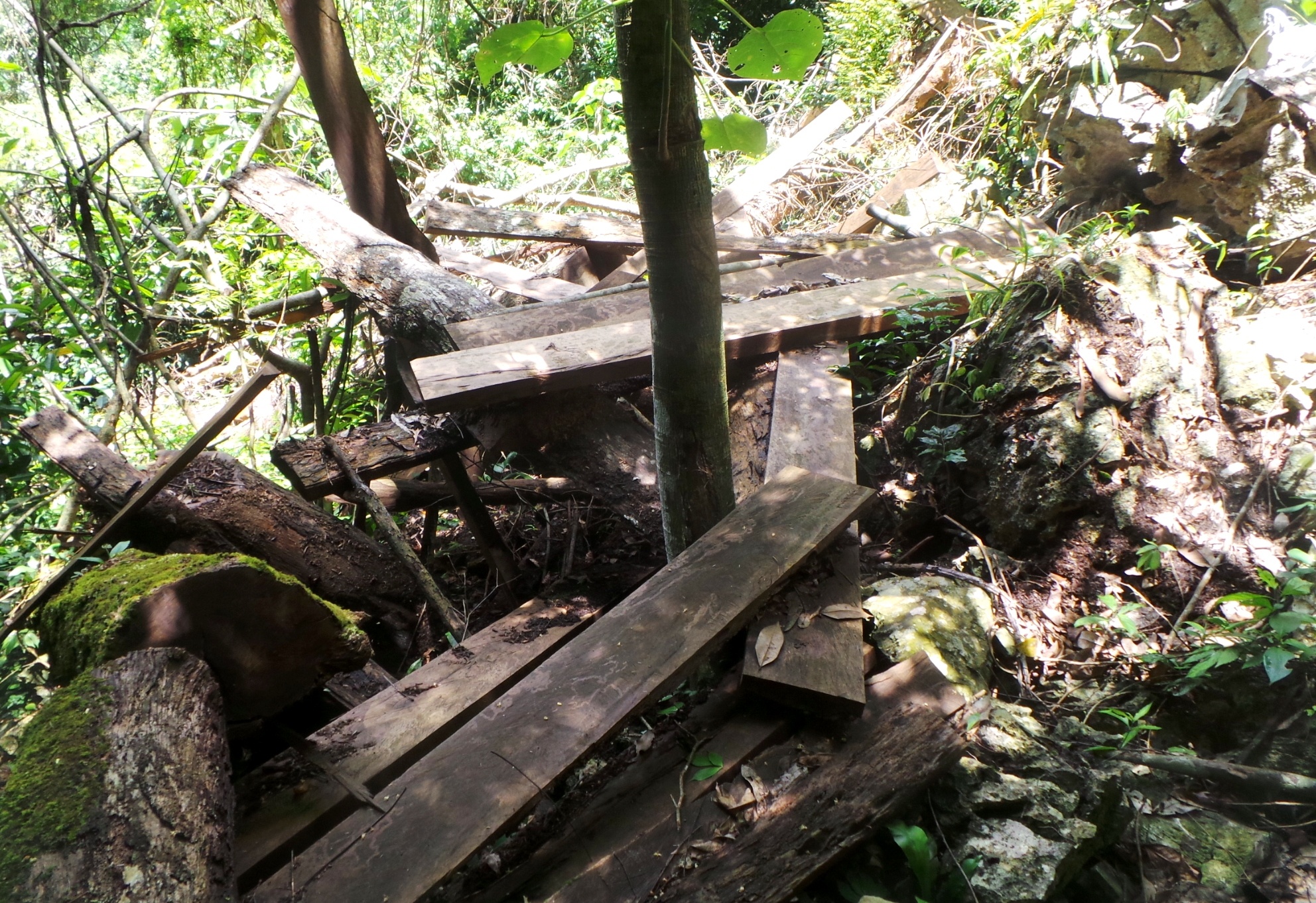 don ha go trong khu bao ton anh 9