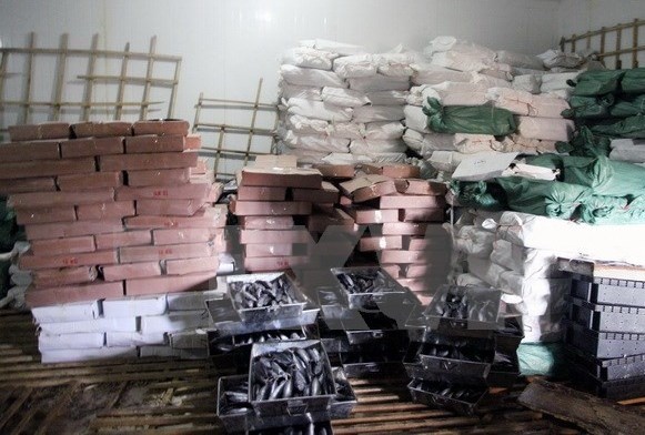 Quang Tri niem phong 25 tan ca nuc bi nhiem chat Phenol hinh anh