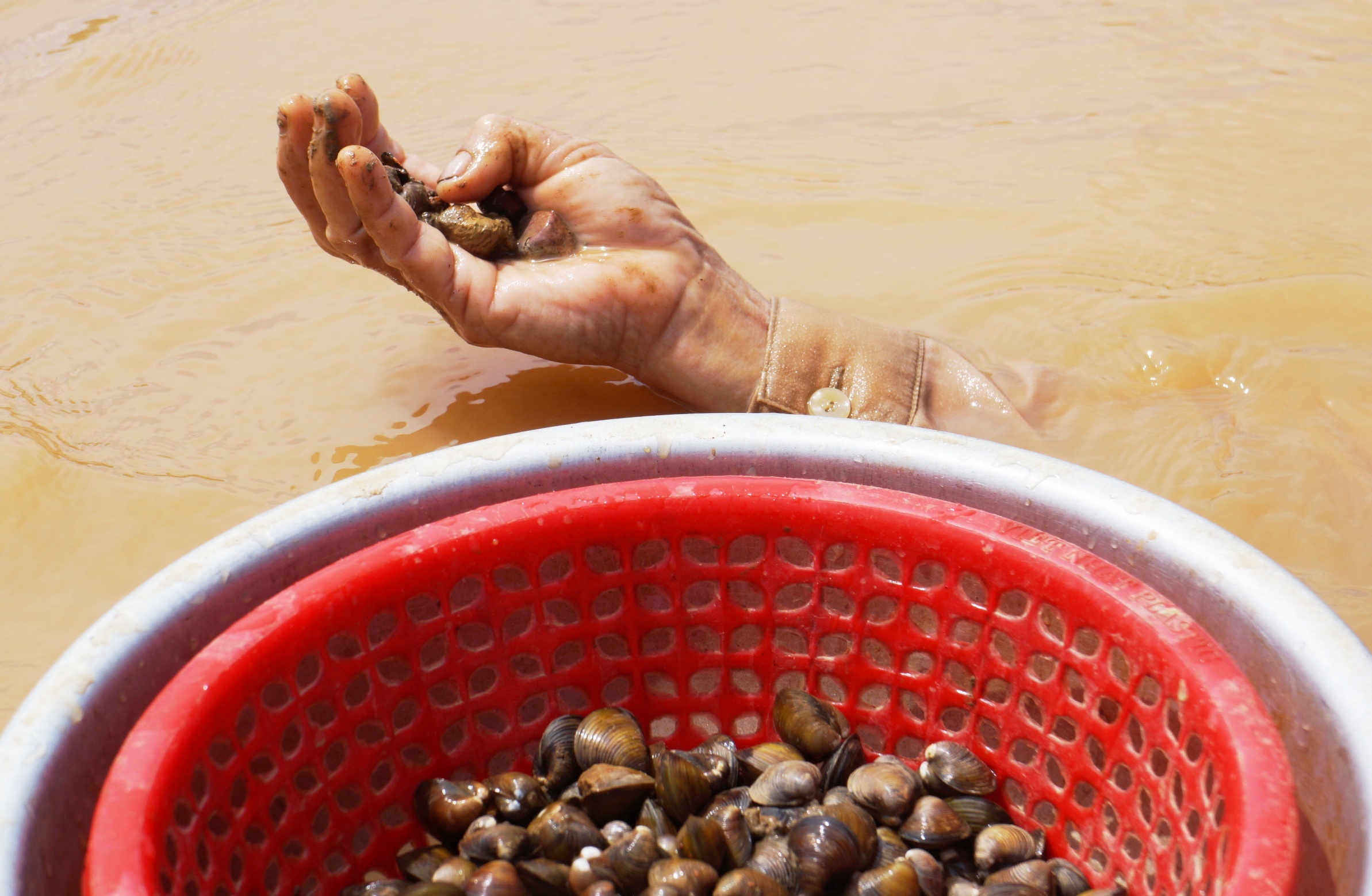 nghe bat hen tren song Len anh 5