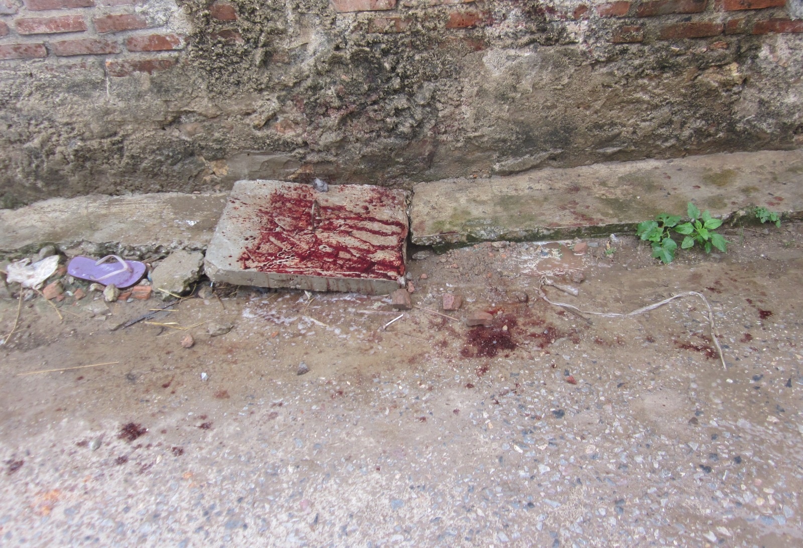 xo xat trong quan karaoke anh 1