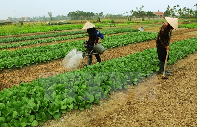 Ky luat hang loat lanh dao xa vi buong long quan ly hinh anh