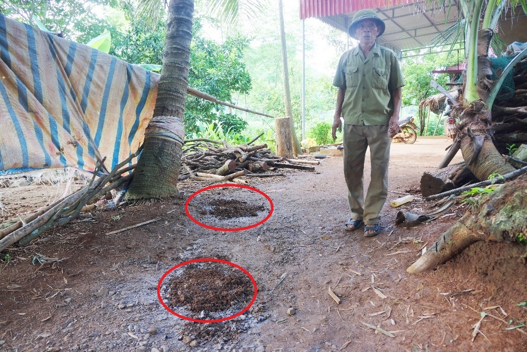 Phut chu ho chem 2 chau nho tu vong hinh anh