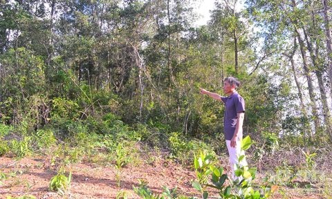 trâu hoang điên tấn công người ảnh 1 trau hoang dien tan cong nguoi anh 1