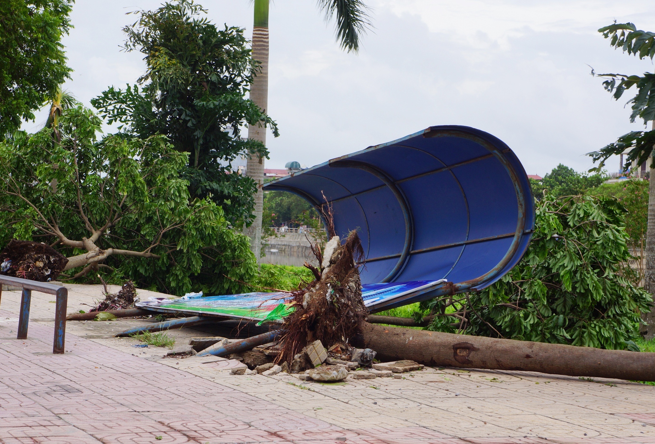 Nam Dinh tan hoang sau bao anh 14