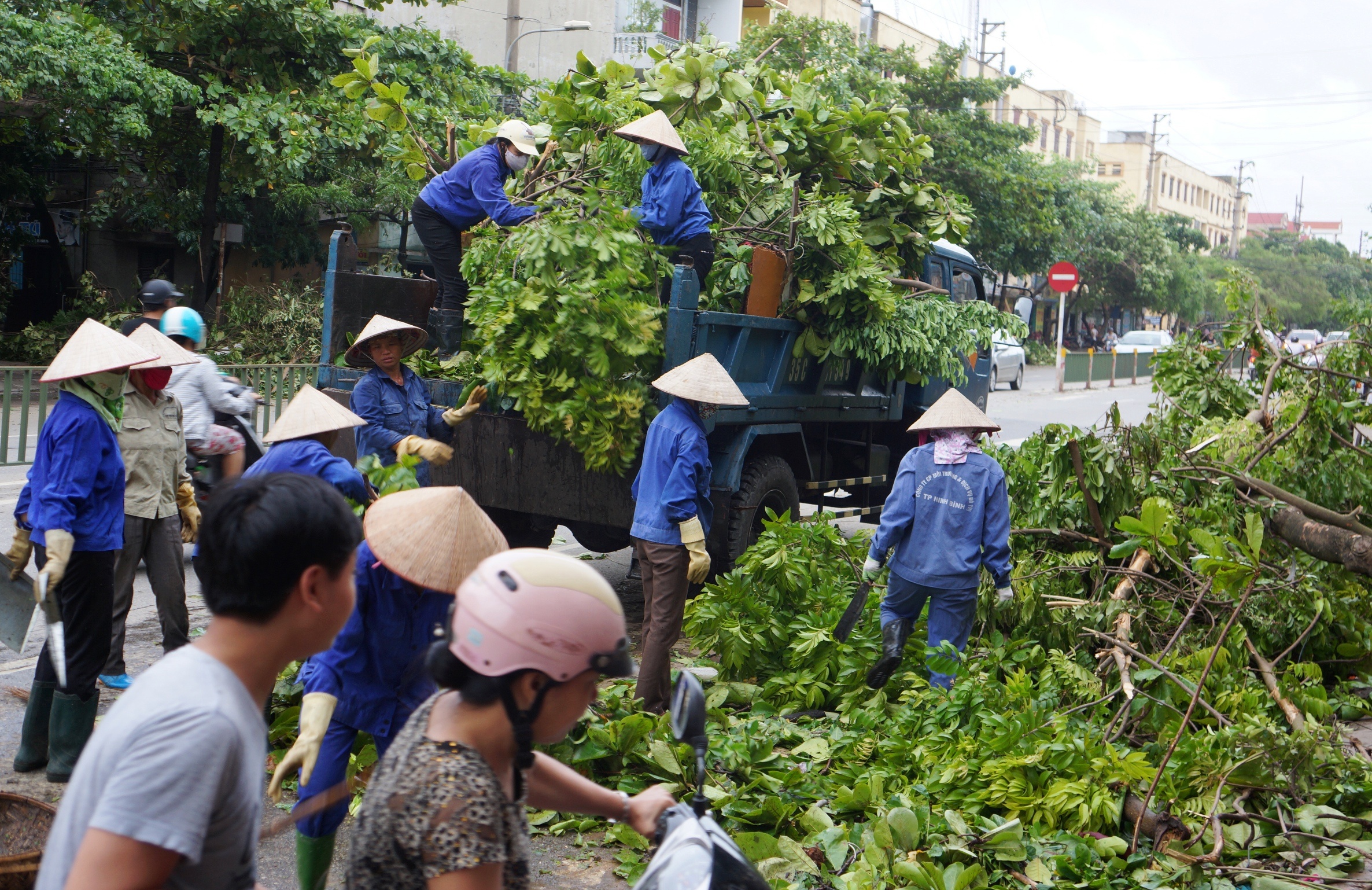 Nam Dinh tan hoang sau bao anh 17