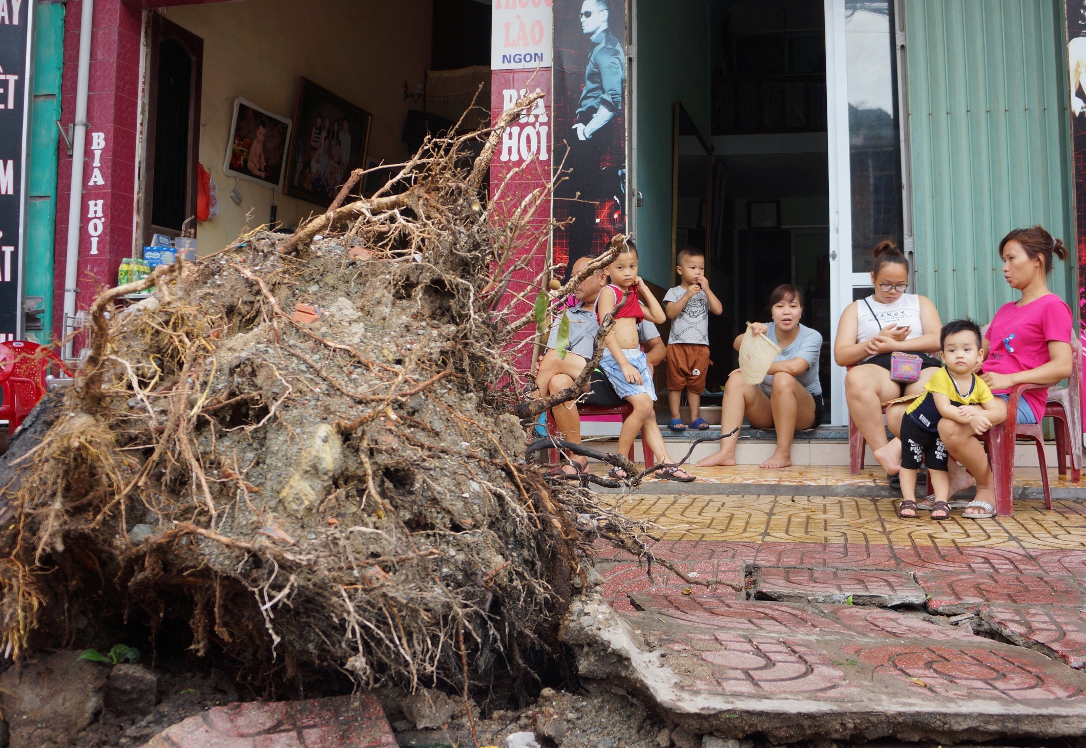 Nam Dinh tan hoang sau bao anh 18