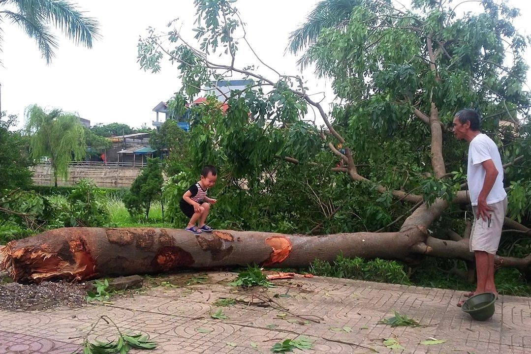 Nam Dinh tan hoang sau bao anh 16