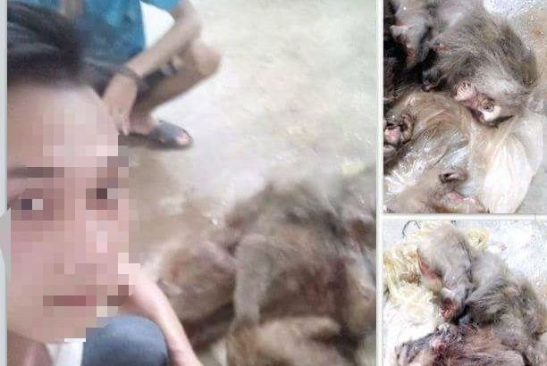 Tung hinh anh giet khi len Facebook de 'ra oai' voi ban hinh anh