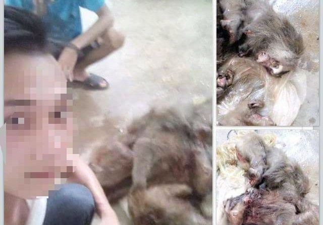 Nguoi dan ong giet khi nau cao bi phat hon 5 trieu dong hinh anh