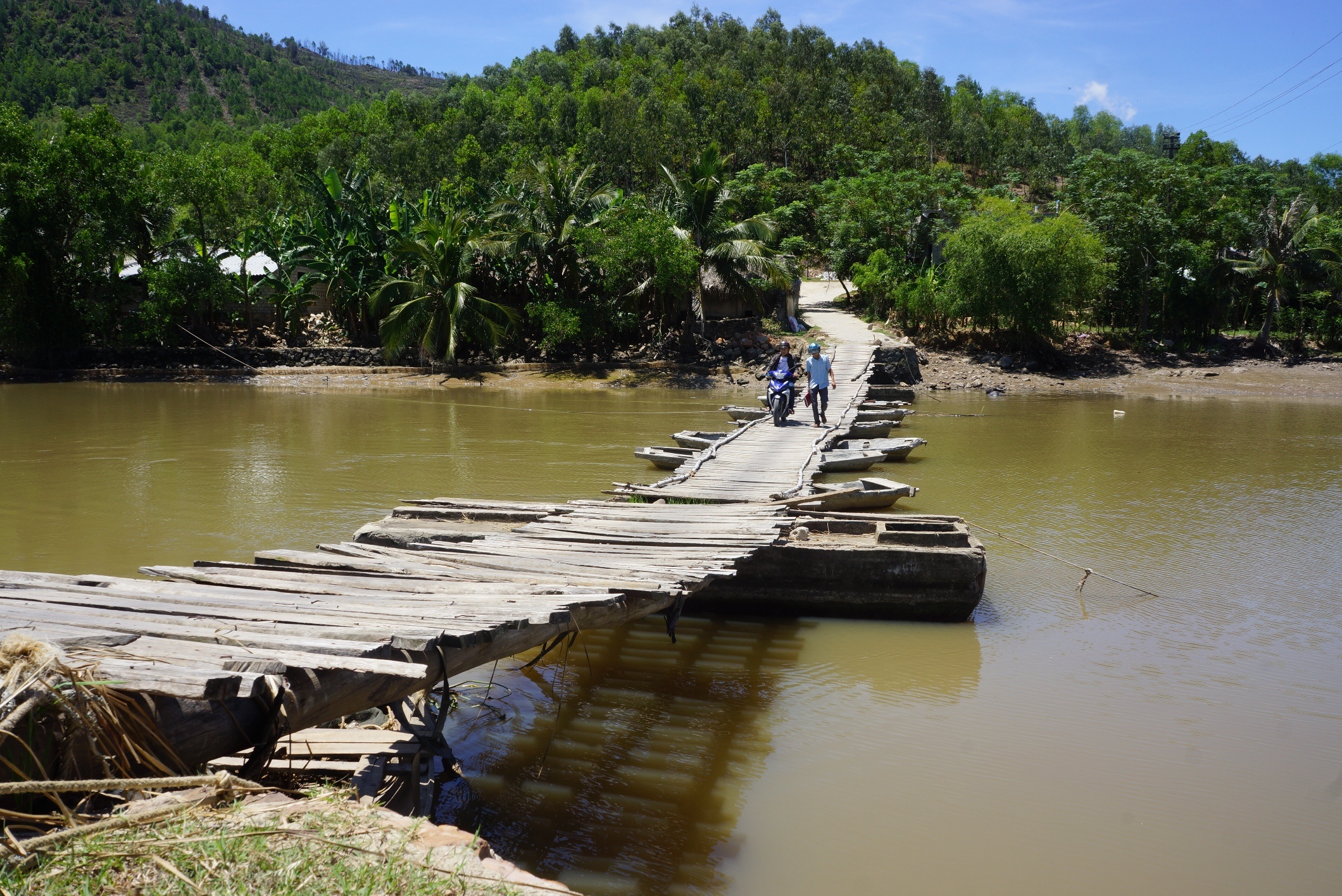 cau phao tu than anh 1