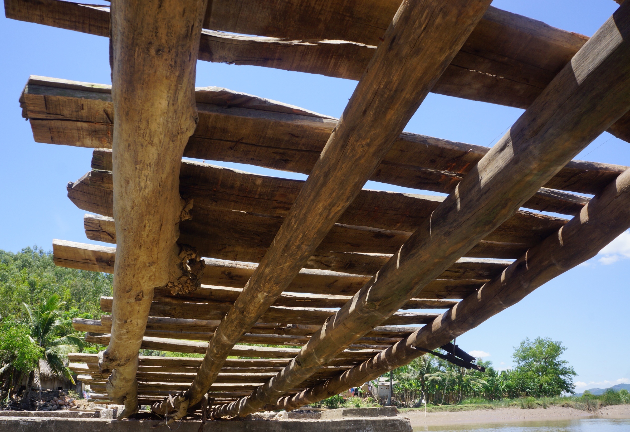 cau phao tu than anh 5