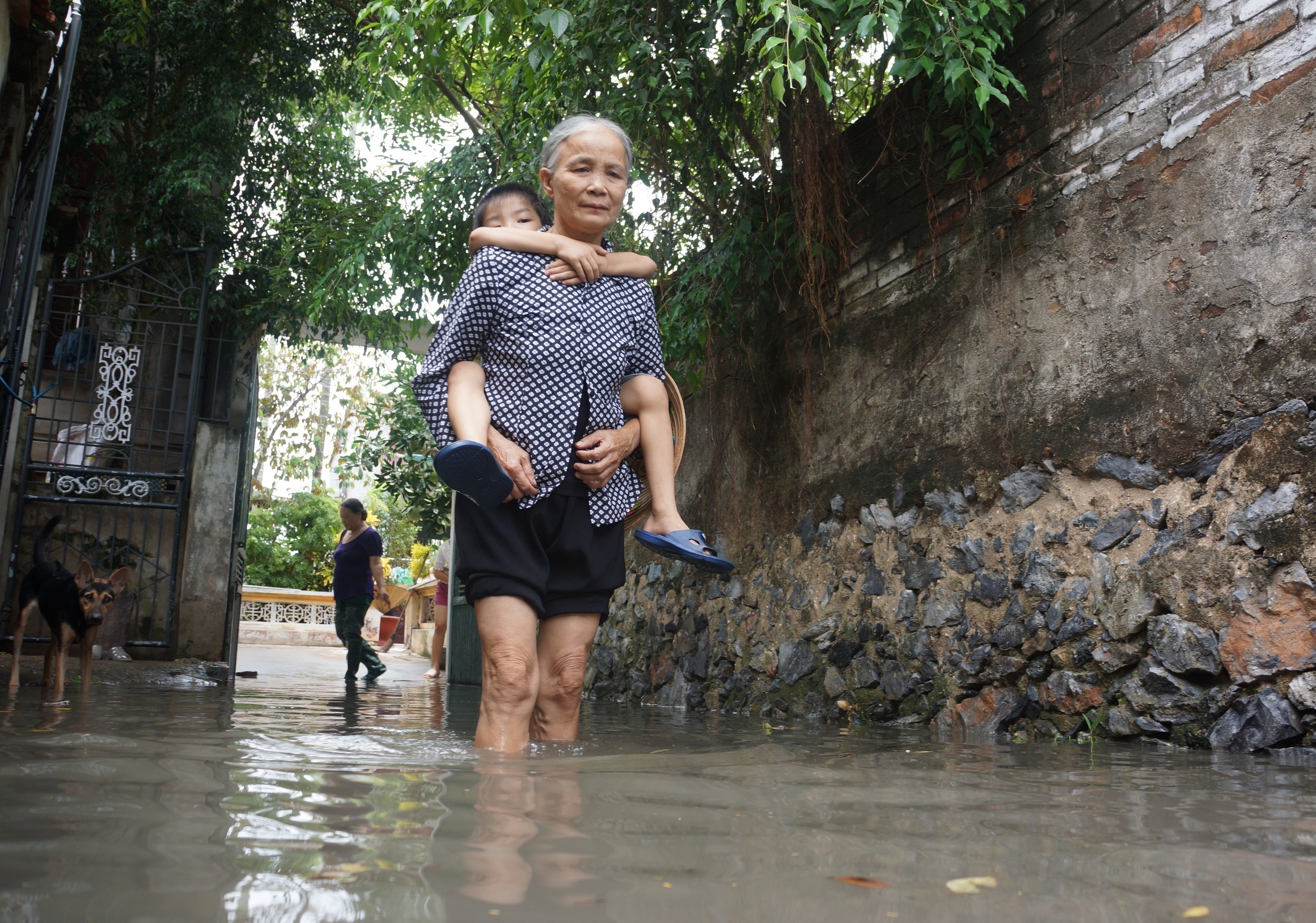 nha cu mua la ngap anh 10