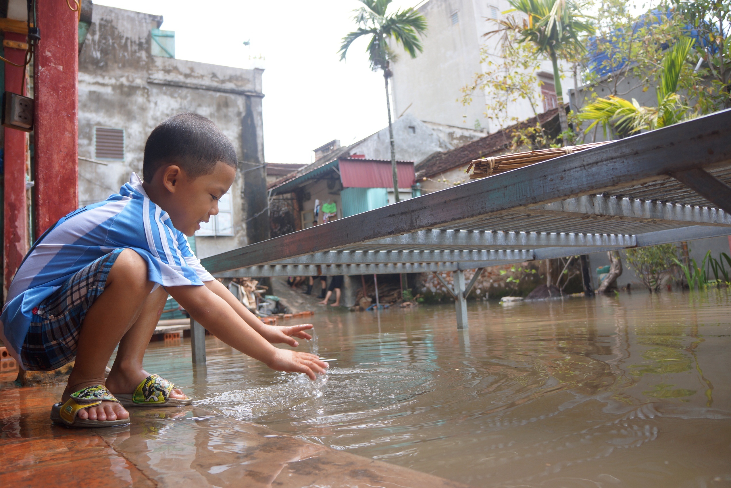 nha cu mua la ngap anh 7