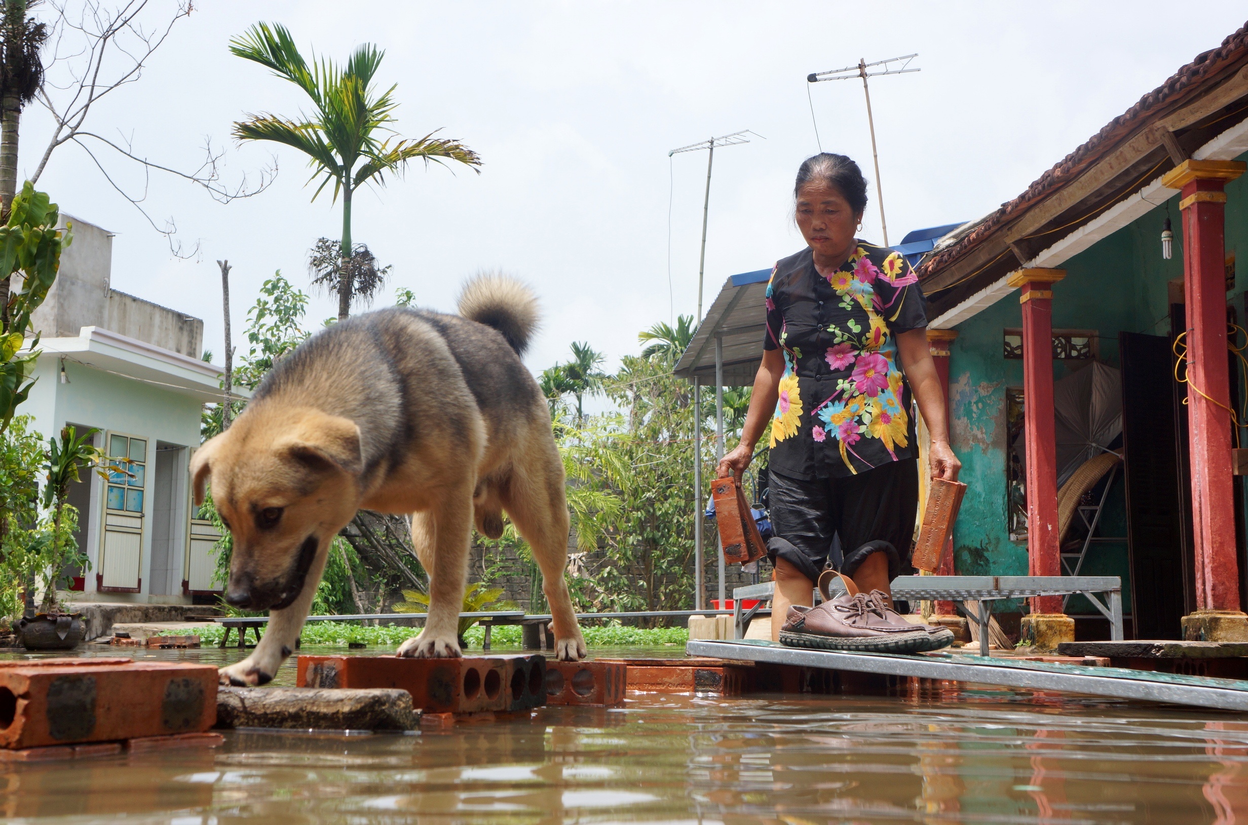 nha cu mua la ngap anh 6