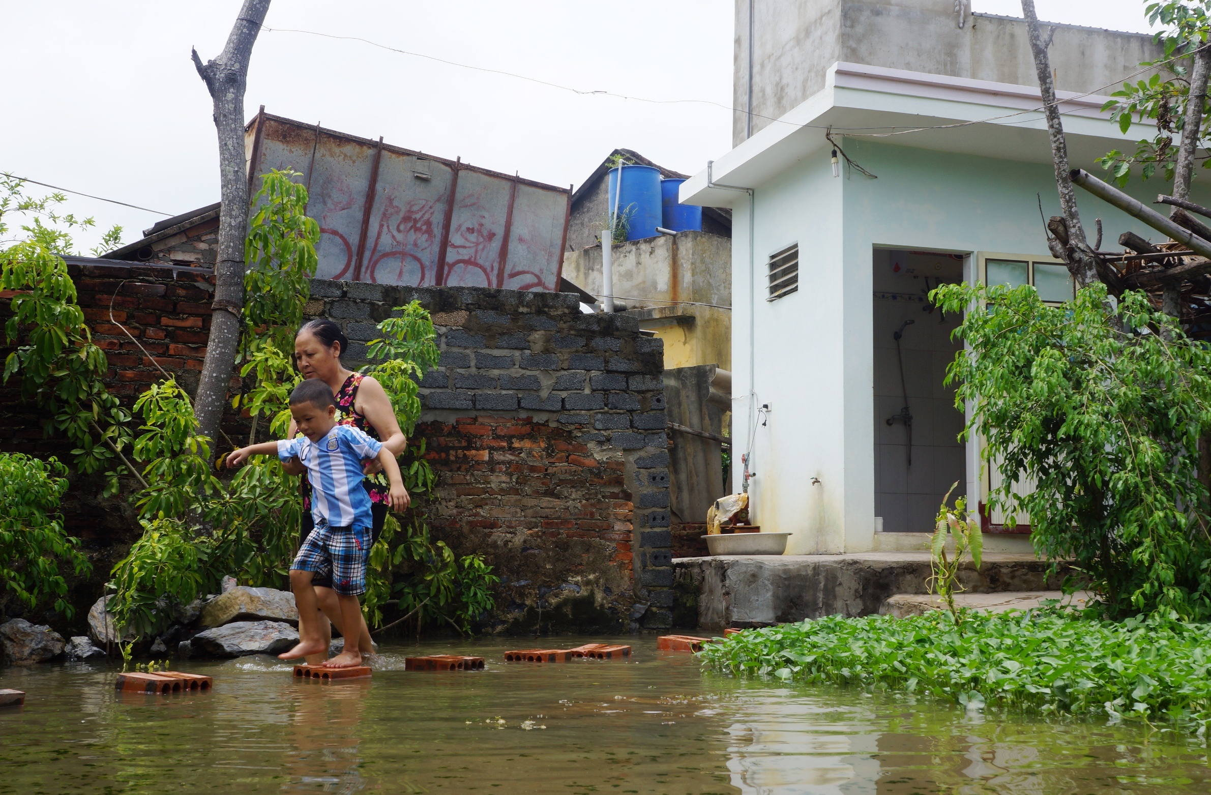 nha cu mua la ngap anh 2