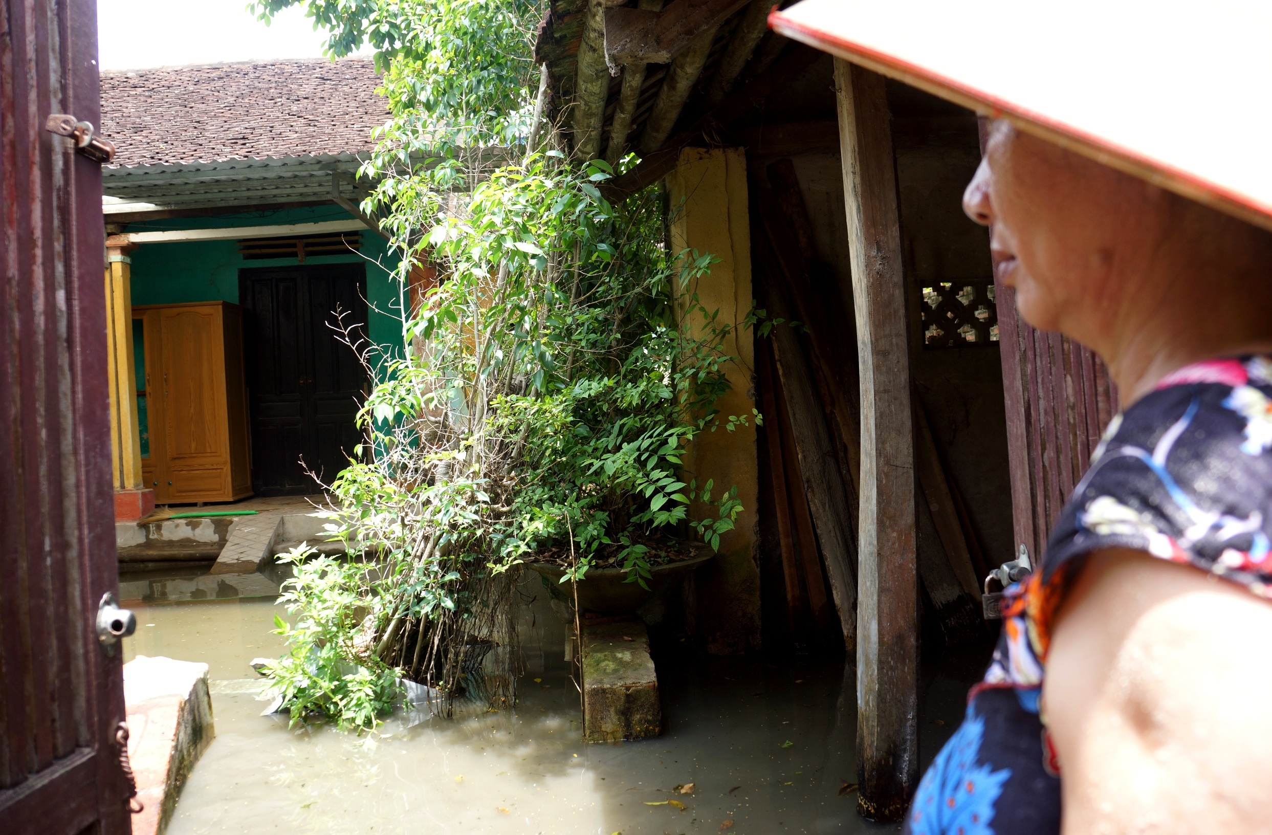 nha cu mua la ngap anh 9