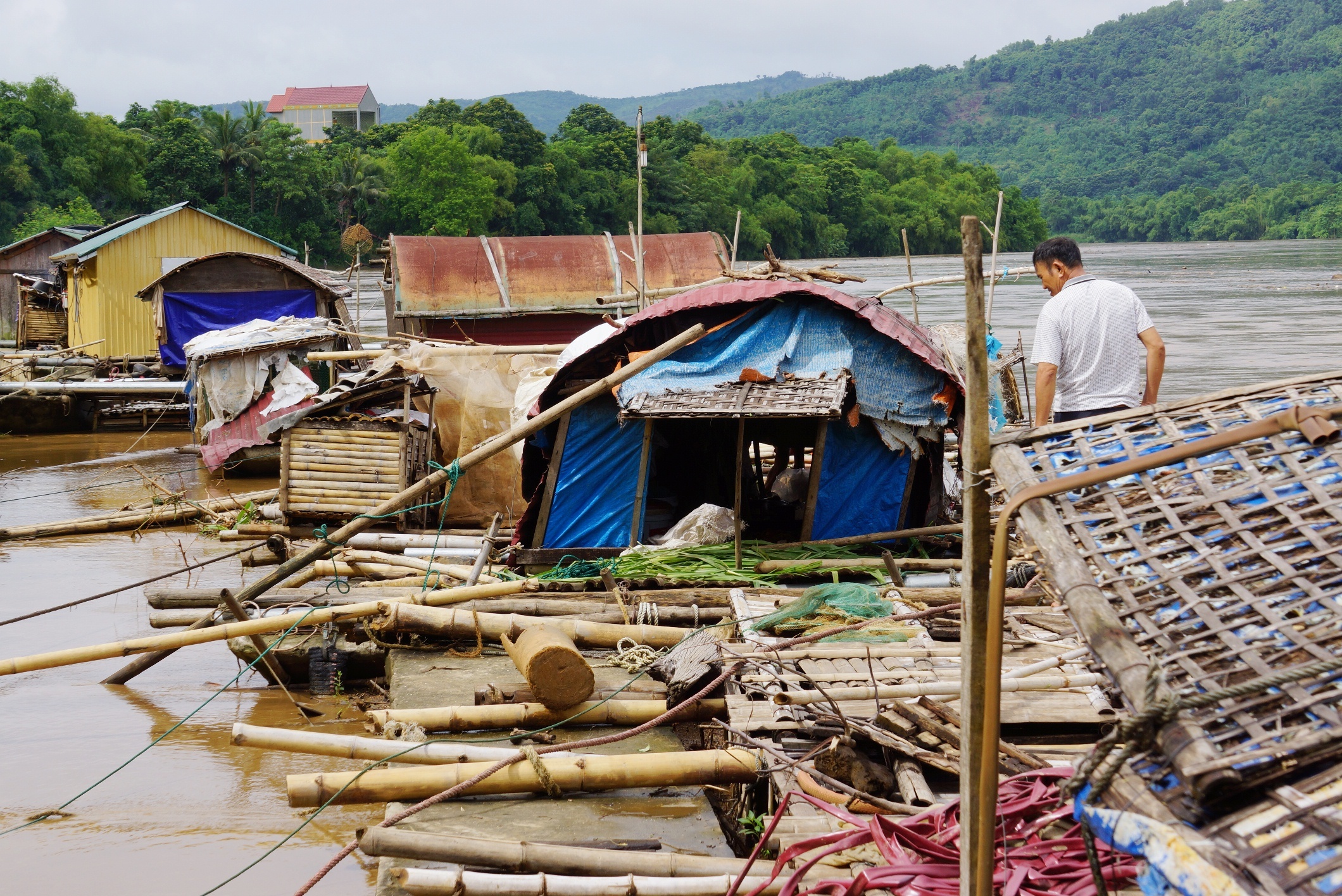 ca chet trang trong nuoc lu anh 1