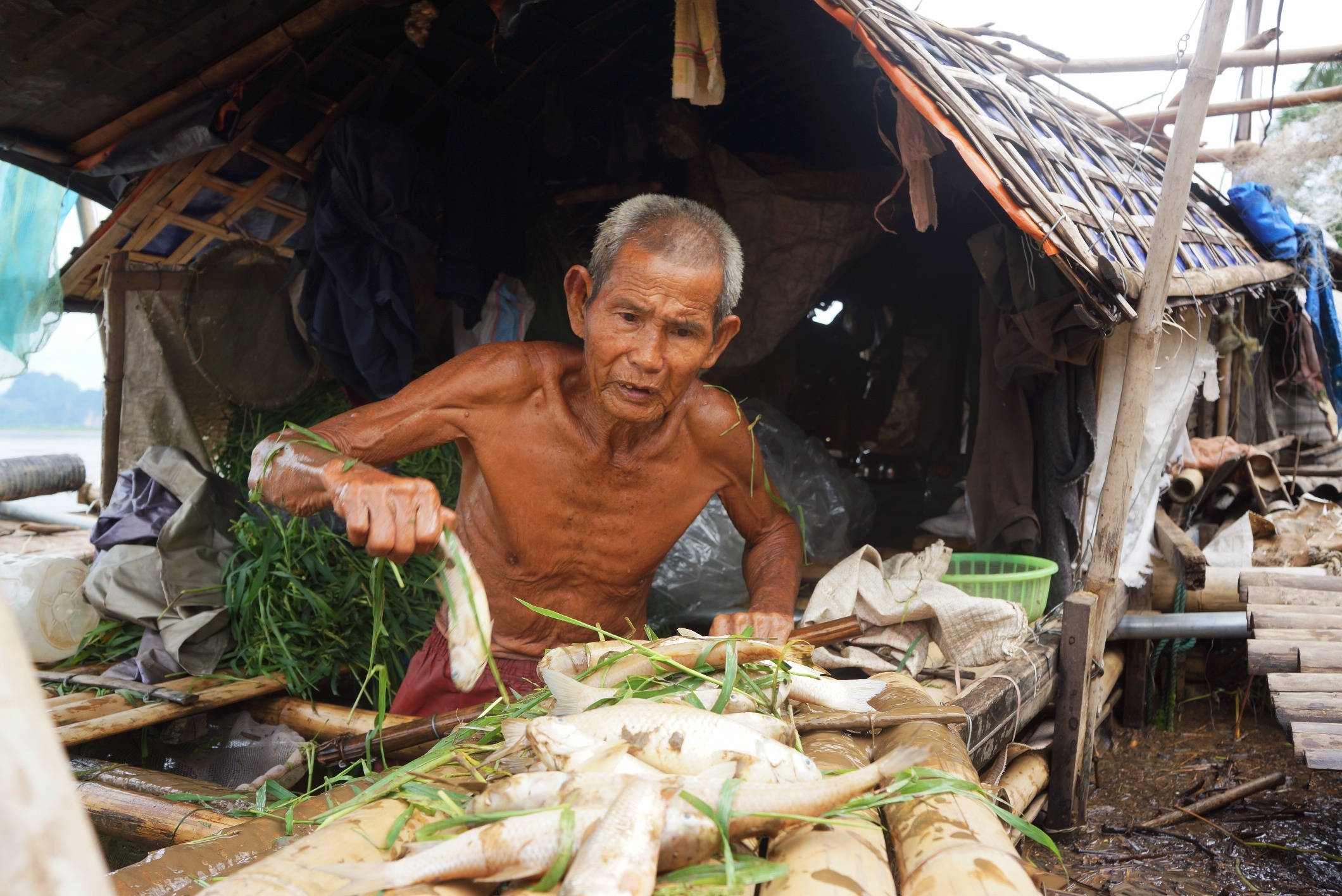 ca chet trang trong nuoc lu anh 3
