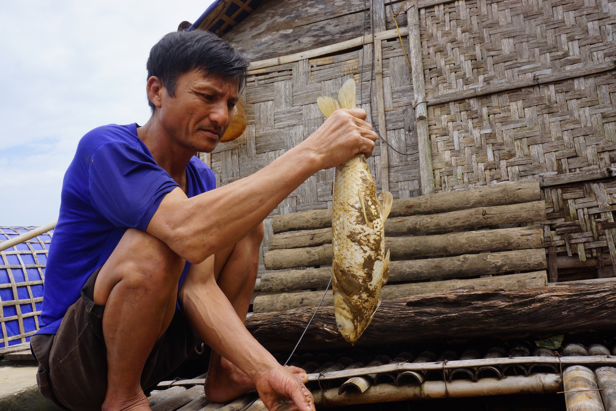 ca chet trang trong nuoc lu anh 5