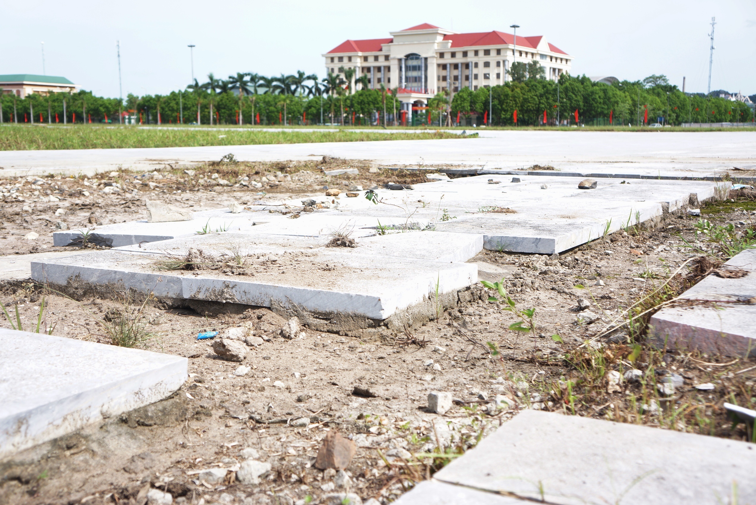 Tuong dai Dinh Tien Hoang De anh 6