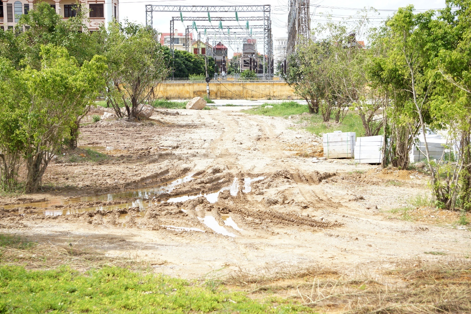 Tuong dai Dinh Tien Hoang De anh 7