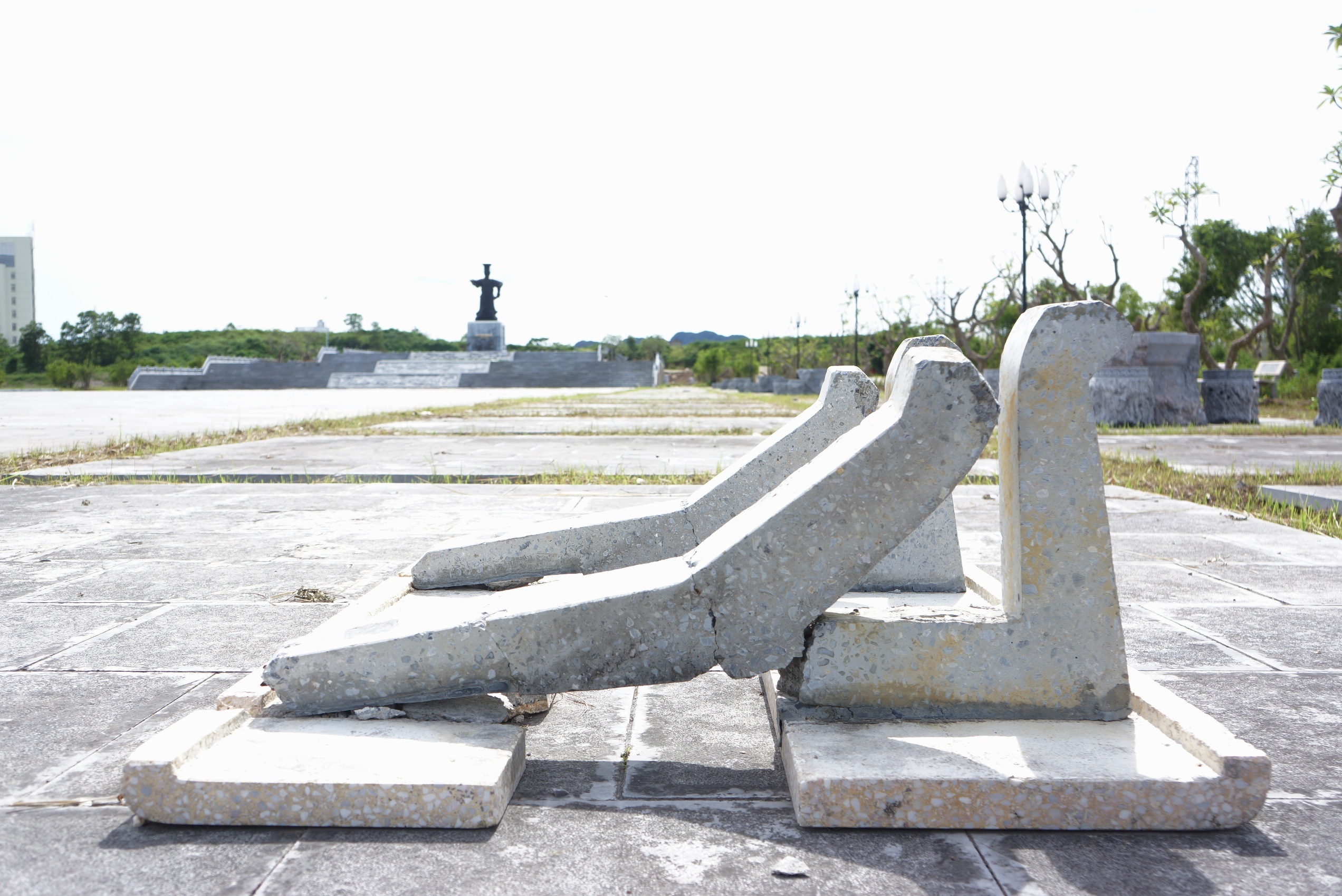 Tuong dai Dinh Tien Hoang De anh 8