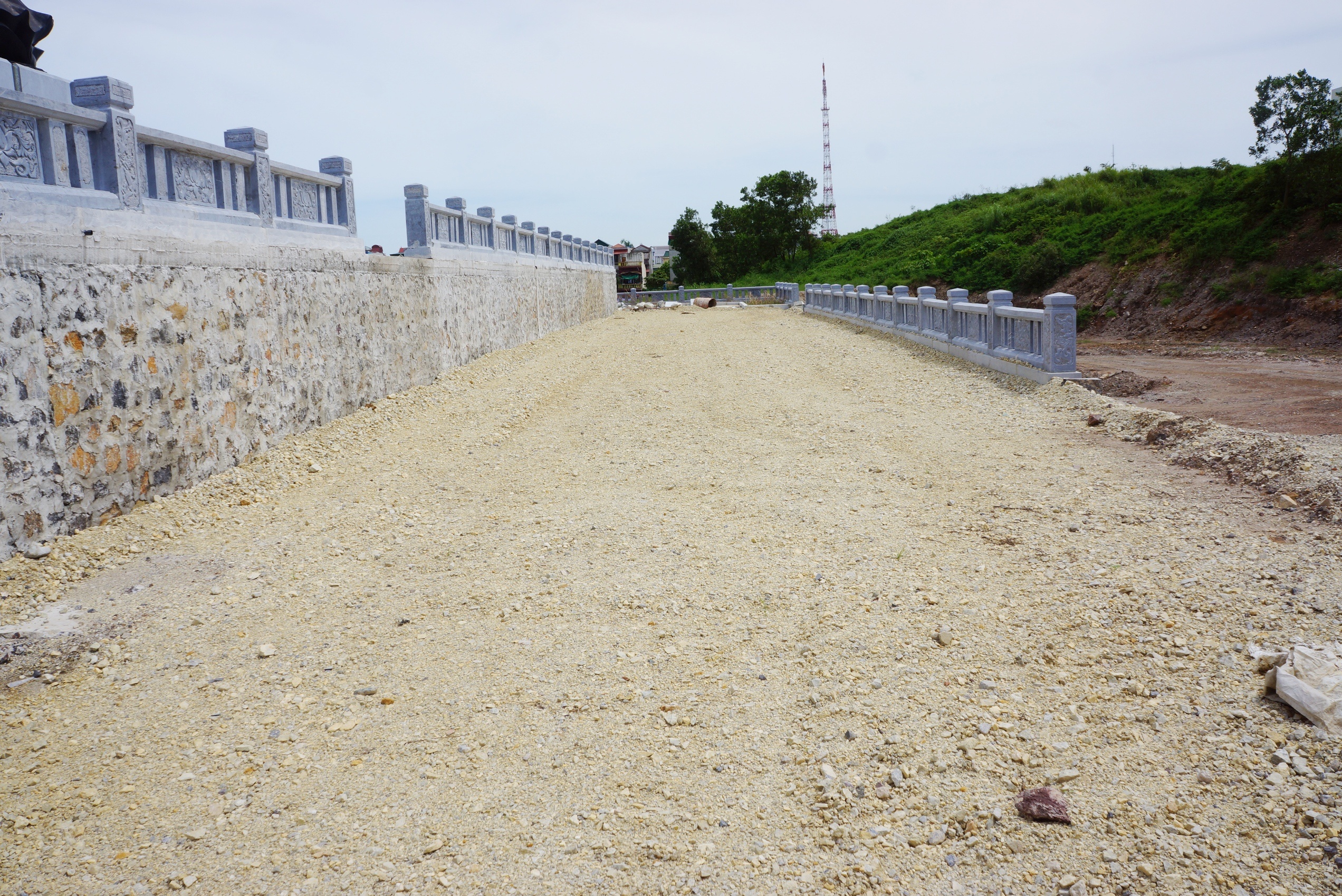 Tuong dai Dinh Tien Hoang De anh 10