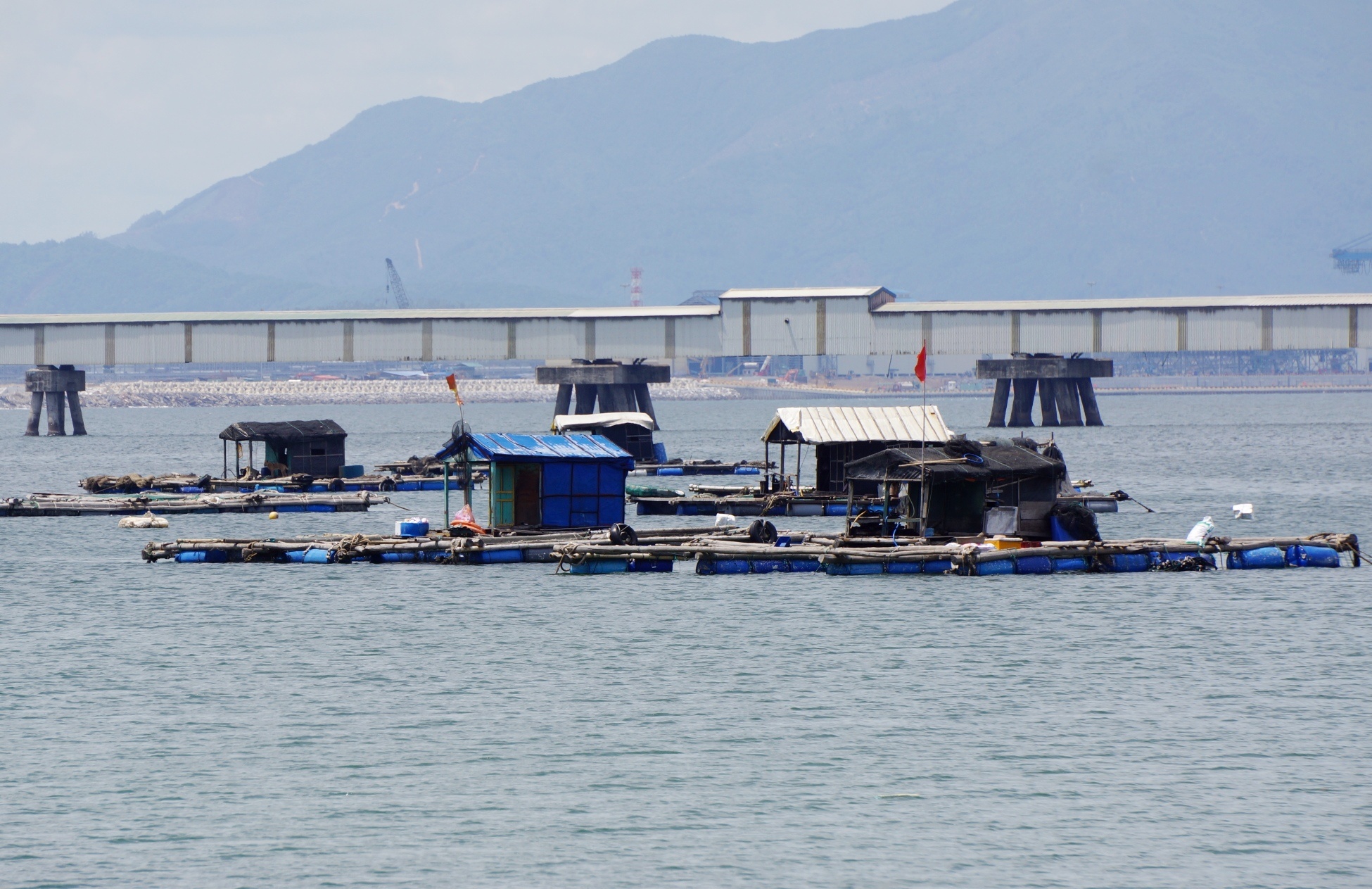 ca long chet tai Nghi Son anh 3