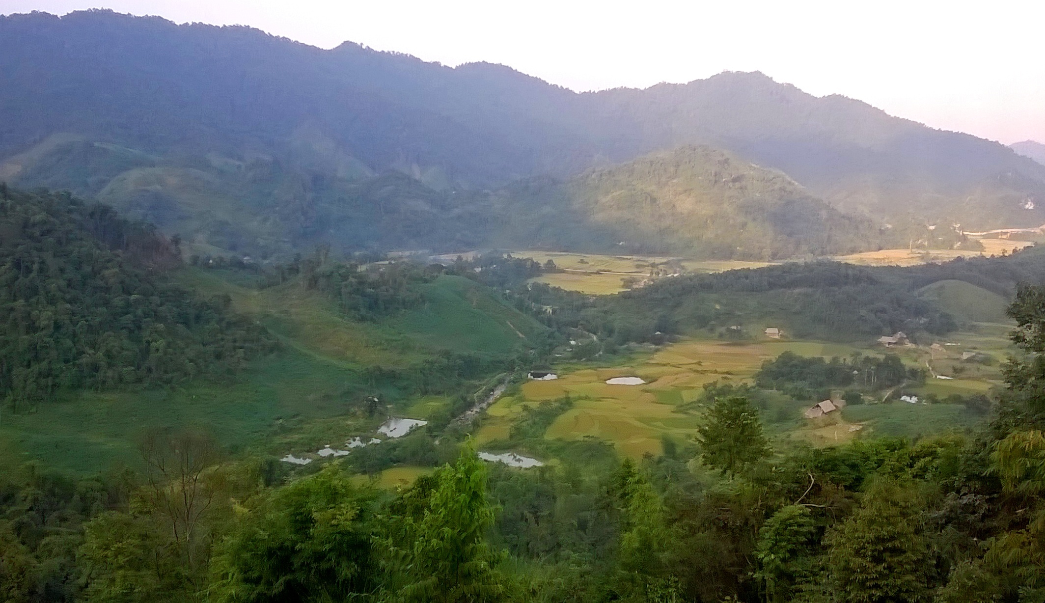 đi hái măng bị lũ cuốn ảnh 1 di hai mang bi lu cuon anh 1