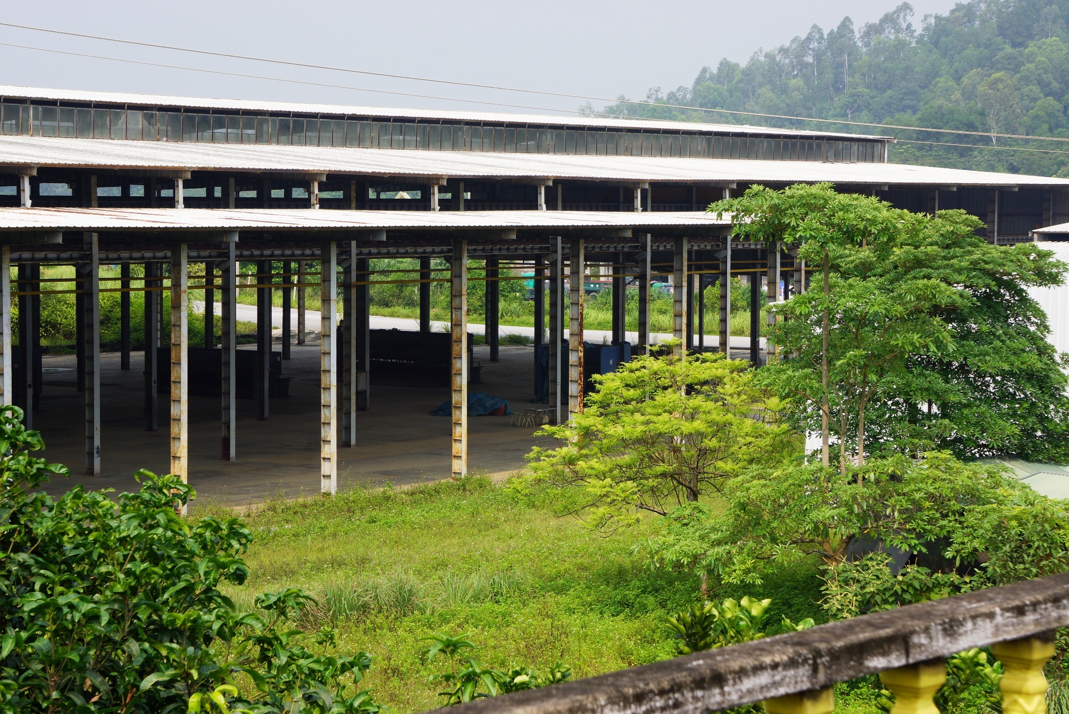 Nha may oto Vinaxuki nghin ty hoen gi, co moc day hinh anh