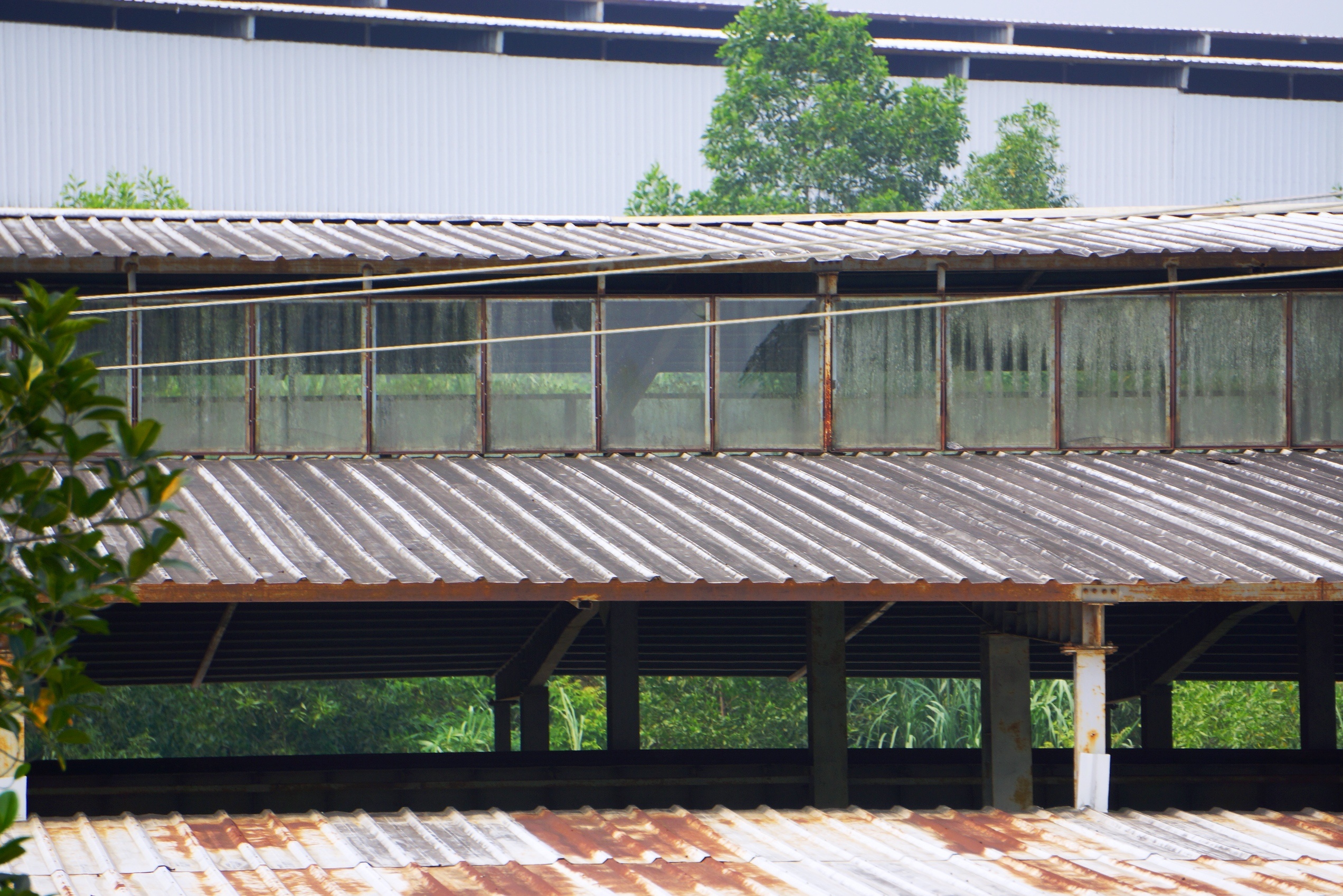 du an Vinaxuki chet yeu anh 7