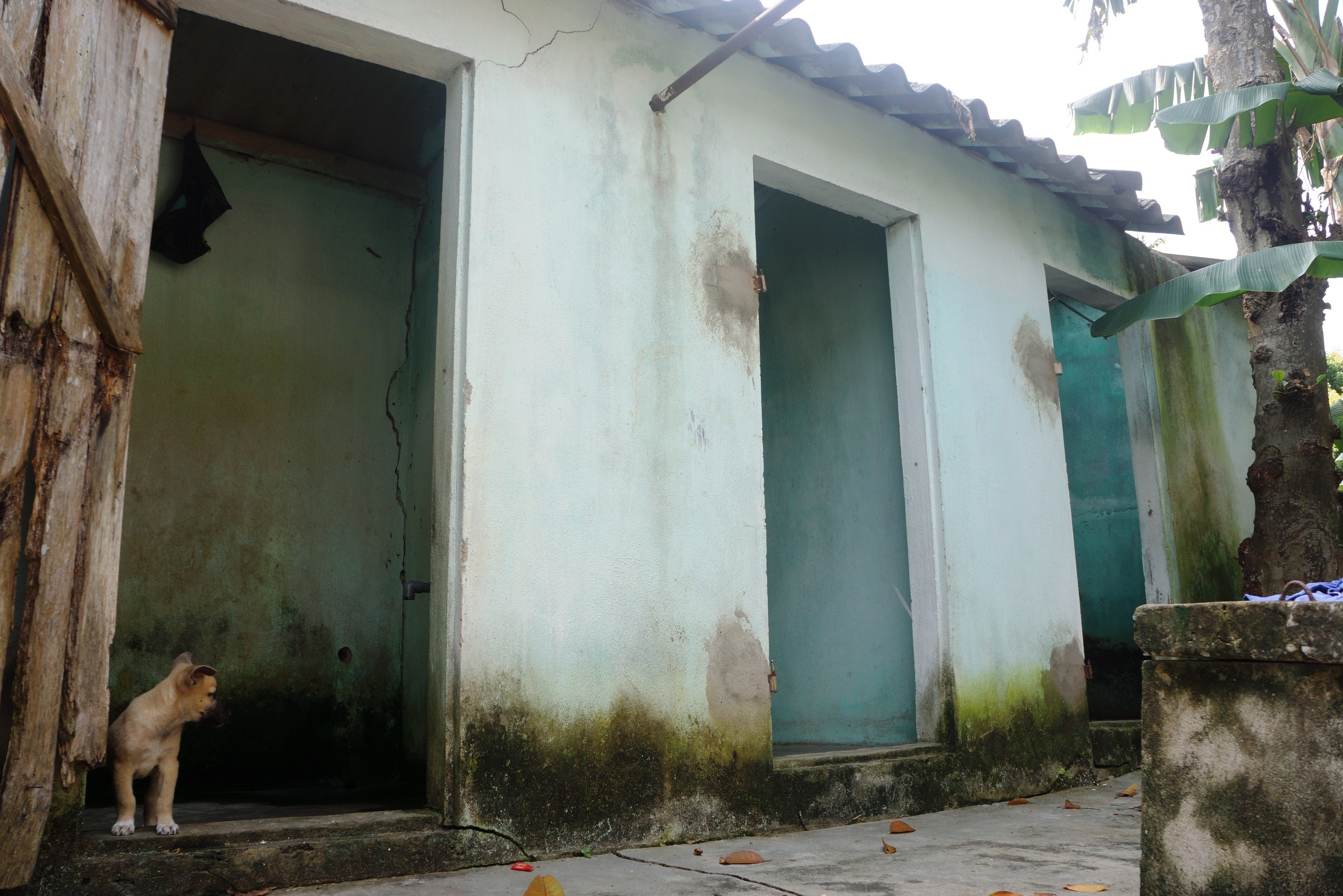 Dan vo mong vi Vinaxuki anh 8