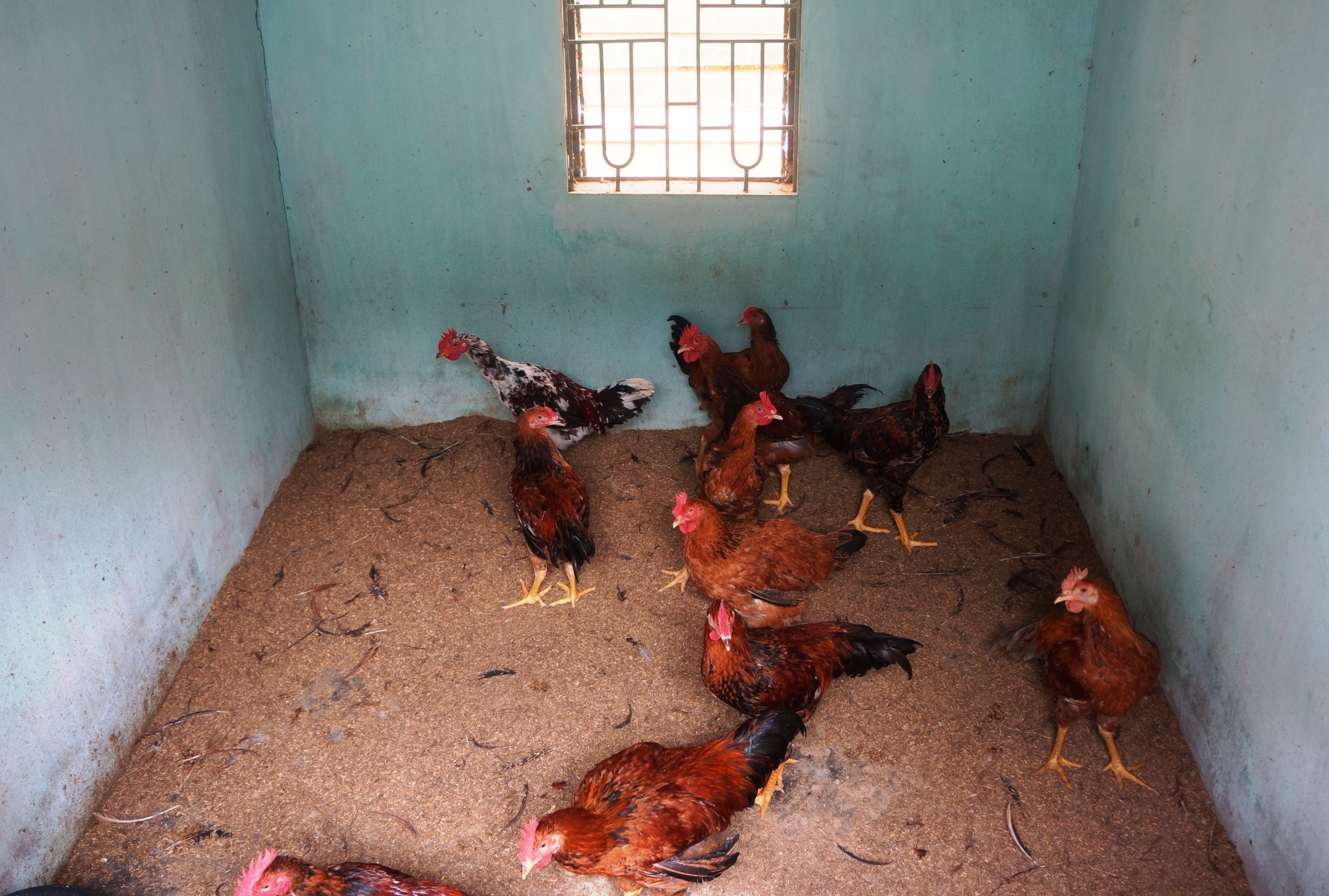 Vo mong vi xay phong tro 'an theo' nha may Vinaxuki hinh anh