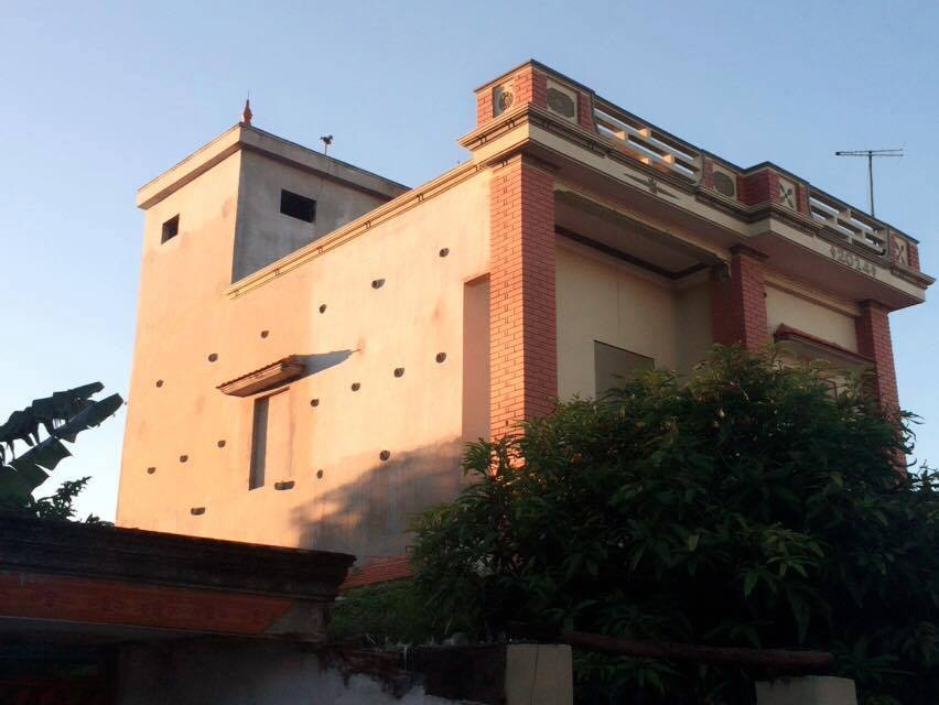 Xây nhà lầu cho chim yến ảnh 1 Xay nha lau cho chim yen anh 1