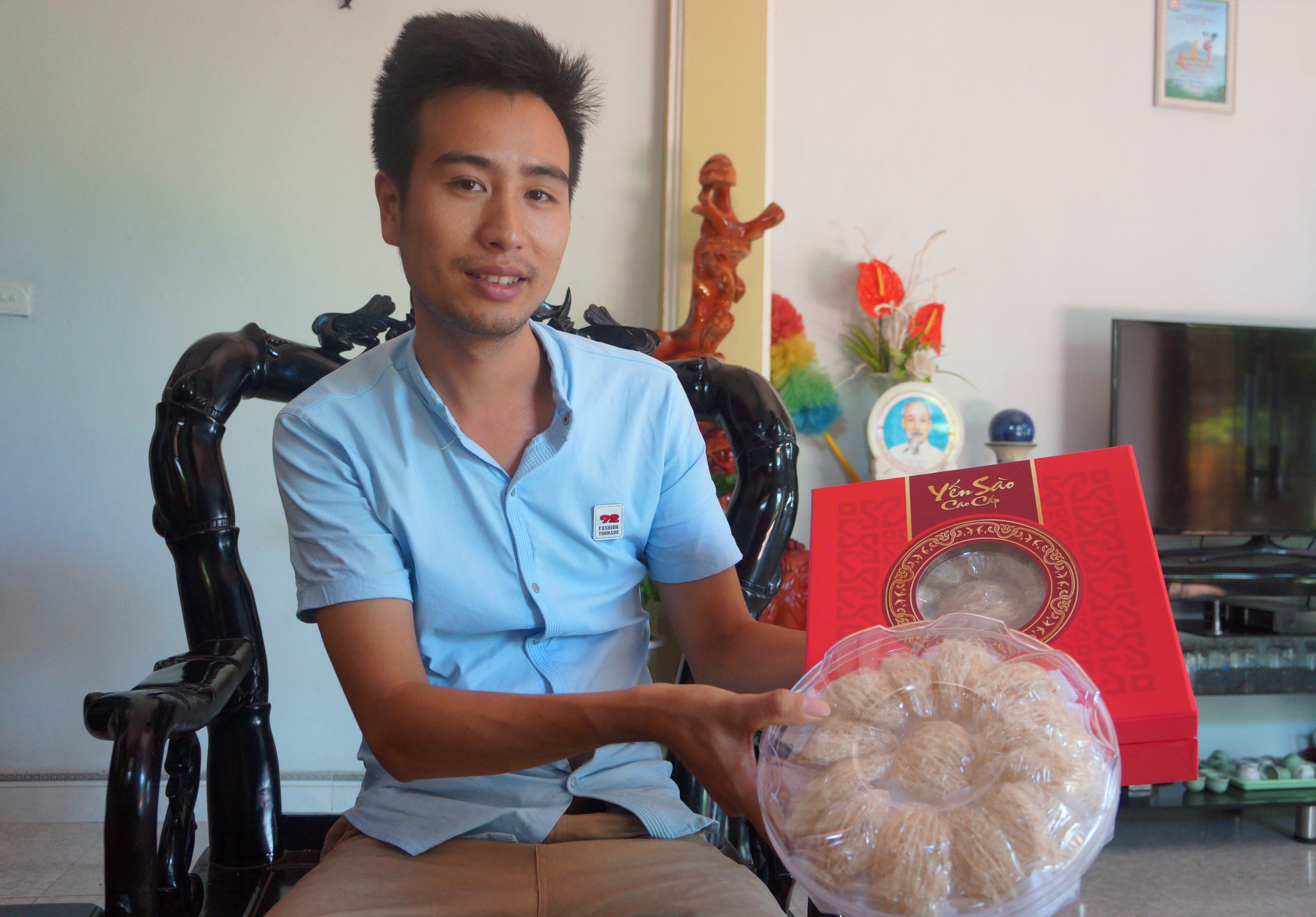 Xay nha lau cho chim yen anh 3